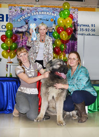 8.jpg (907.19 КБ, Просмотров: 3212) 8.jpg