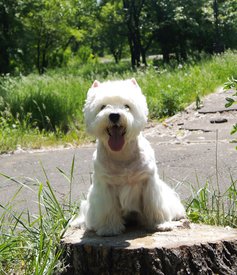 9.jpg (505.52 КБ, Просмотров: 13789) 9.jpg