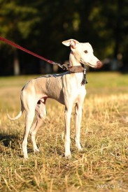 908424175.jpg (62.49 КБ, Просмотров: 1797) 908424175.jpg