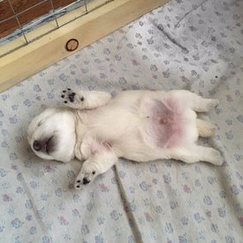 94abb041-307e-44c2-b315-78a8a889cd6f.jpg (150.78 КБ, Просмотров: 1536) 94abb041-307e-44c2-b315-78a8a889cd6f.jpg