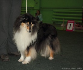 98d5855415ac.jpg