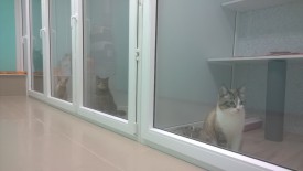 ANNY2fF2_mI.jpg (79.69 КБ, Просмотров: 3889) ANNY2fF2_mI.jpg