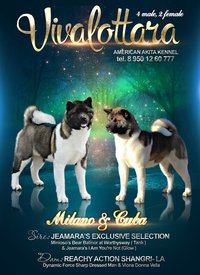 ASOXASPHNL8.jpg (178.93 КБ, Просмотров: 8224) ASOXASPHNL8.jpg