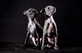 B49EEB92-A4F3-47FE-868B-9ECA26608E65.jpeg (111.34 КБ, Просмотров: 1372) B49EEB92-A4F3-47FE-868B-9ECA26608E65.jpeg