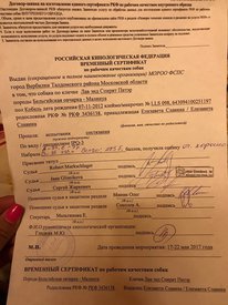 BVZgAziP_Rg.jpg (181.76 КБ, Просмотров: 6692) BVZgAziP_Rg.jpg