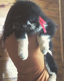 ByYoAoHRRfY.jpg (62.33 КБ, Просмотров: 1849) ByYoAoHRRfY.jpg