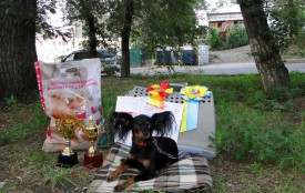 DSC00872 (Копировать).JPG