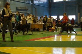 DSC00913.JPG