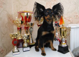DSC01074 (Копировать).JPG