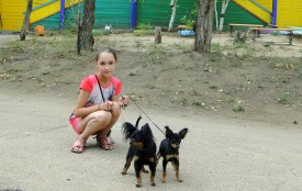 DSC01631-1 (Копировать).JPG