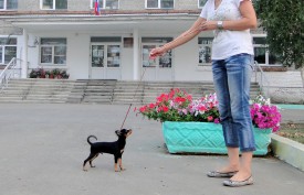 DSC01791-1 (Копировать).JPG