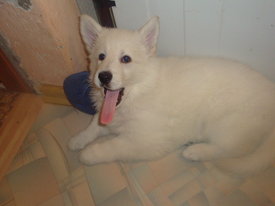 DSC07827.jpg