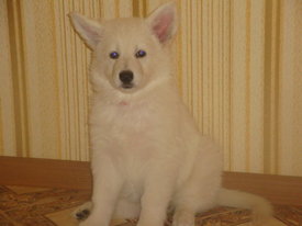 DSC07842.jpg