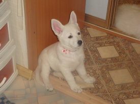DSC07860.jpg