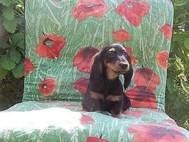 DSCN2004 (2).JPG