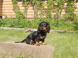 DSCN2053 (2).JPG