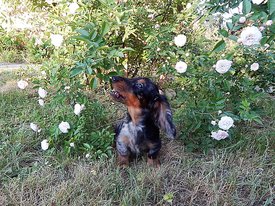 DSCN2325 (2).JPG