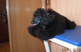 DSCN5230.JPG