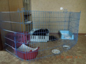 DSCN5390.JPG