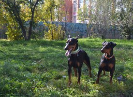 DSC_0255_1.jpg