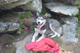 DSC_0269.jpg
