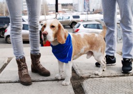 DSC_1853.jpg (140.92 КБ, Просмотров: 3530) DSC_1853.jpg