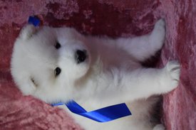 DSC_1864.JPG