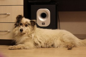 DY-KzQhGHPs.jpg (62.56 КБ, Просмотров: 2635) DY-KzQhGHPs.jpg