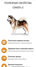 FB_IMG_1561352381840.jpg (32.56 КБ, Просмотров: 3251) FB_IMG_1561352381840.jpg