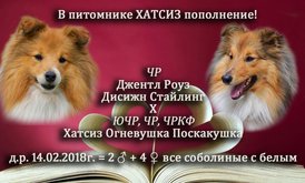 FRO29GQHH0g.jpg (208.24 КБ, Просмотров: 2348) FRO29GQHH0g.jpg