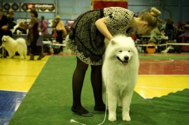 FY14qj5y5JU.jpg (70.88 КБ, Просмотров: 6664) FY14qj5y5JU.jpg