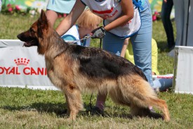 FaNZtzpI.jpg (343.13 КБ, Просмотров: 1561) FaNZtzpI.jpg