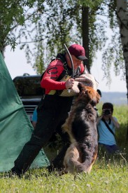 FaNZtzpJ.jpg (346.77 КБ, Просмотров: 1561) FaNZtzpJ.jpg