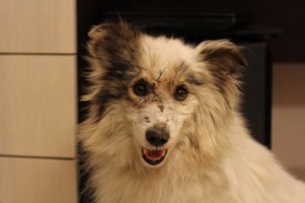 GdnxcYGsCwg.jpg (54.64 КБ, Просмотров: 2561) GdnxcYGsCwg.jpg