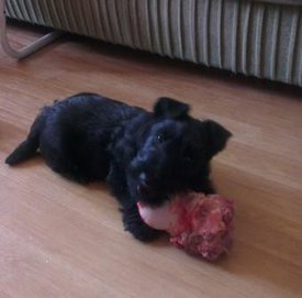 IMAG0118.jpg