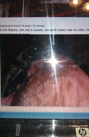 IMAG0374.jpg