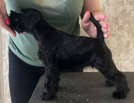 IMG-20220611-WA0009.jpg (201.95 КБ, Просмотров: 9629) IMG-20220611-WA0009.jpg