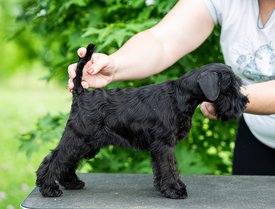 IMG-20220711-WA0007.jpg (180.88 КБ, Просмотров: 9456) IMG-20220711-WA0007.jpg