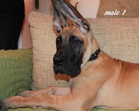 IMG-a296e2213a9f435f80c656ea16932ebf-V.jpg (233.57 КБ, Просмотров: 1454) IMG-a296e2213a9f435f80c656ea16932ebf-V.jpg