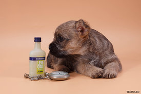 IMG_0204.jpg (143.06 КБ, Просмотров: 3408) IMG_0204.jpg