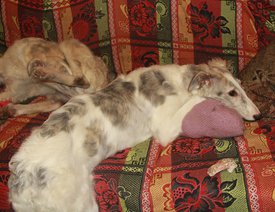 IMG_0616.JPG