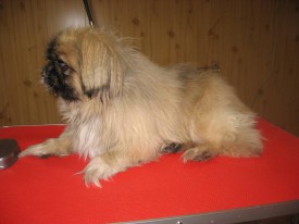 IMG_0782 2.jpg (57.29 КБ, Просмотров: 22074) IMG_0782 2.jpg