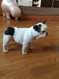 IMG_0838.JPG