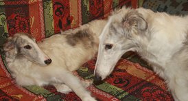IMG_1682.JPG