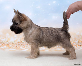 IMG_1862.jpg (192.61 КБ, Просмотров: 3279) IMG_1862.jpg