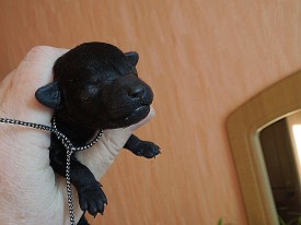 IMG_20141220_201807.jpg