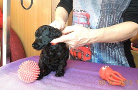 IMG_20150117_144457.jpg