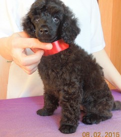 IMG_20150210_100330.jpg (200.48 КБ, Просмотров: 3097) IMG_20150210_100330.jpg