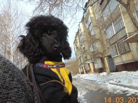IMG_20150328_090737.jpg
