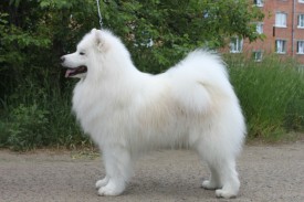 IMG_20160729_145715.jpg (133.15 КБ, Просмотров: 1610) IMG_20160729_145715.jpg